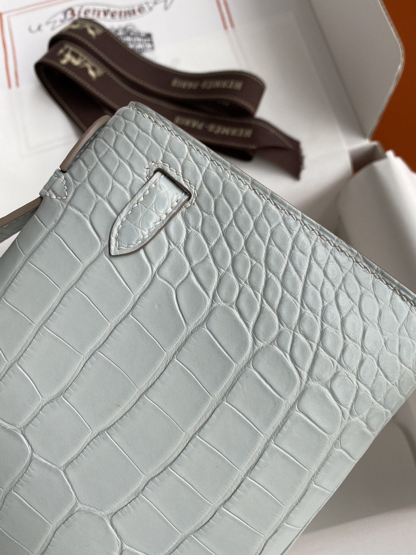 Hermes Mini Kelly Pochette 22cm Bag In Pearl Grey Matte Alligator Leather